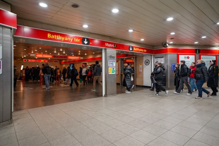 Illusztráció / Fotó: Shutterstock