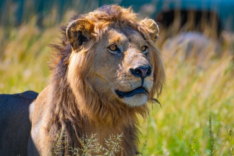 Illusztráció / Fotó: Shutterstock