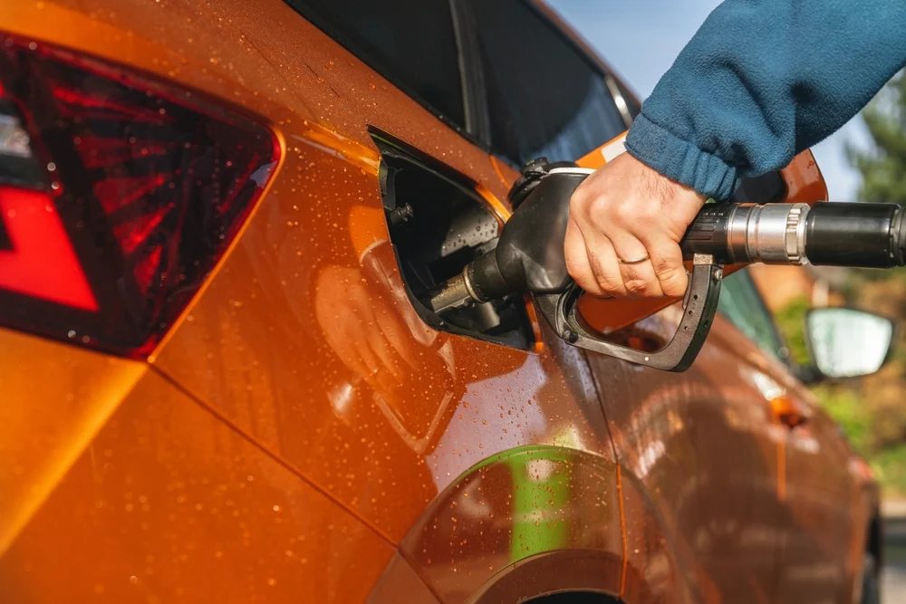 Illusztráció / Fotó: Shutterstock