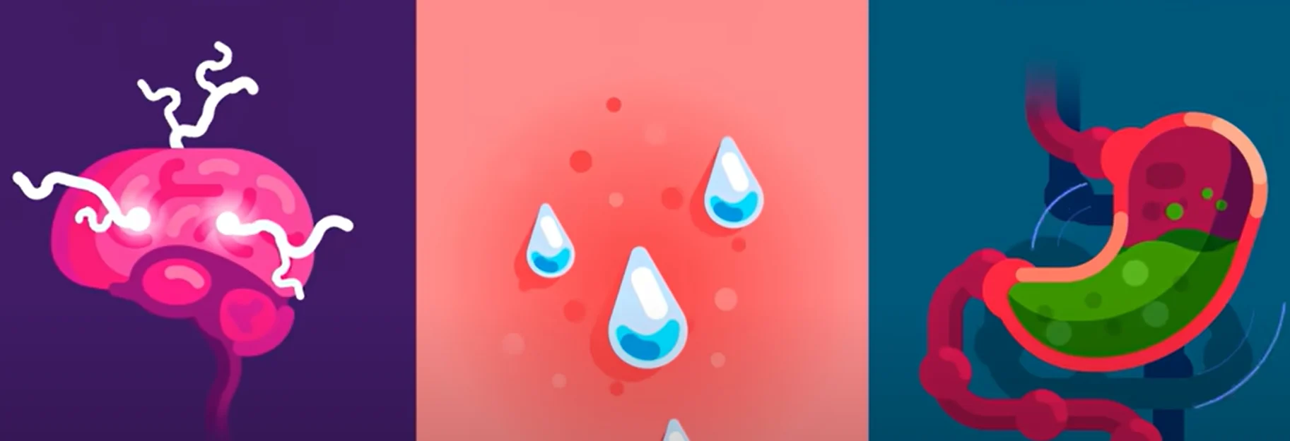 Fotó: YouTube képernyőkép (Kurzgesagt – In a Nutshell)