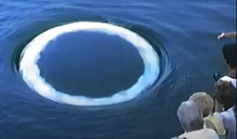 Fotó: YouTube képernyőkép (The Real MLordandGod)