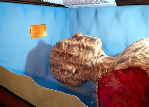 Sokkoló videó mutatja, hogyan bomlik le a testünk a halálunk után