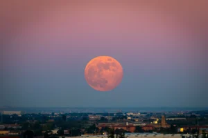 Fotó: Shutterstock
