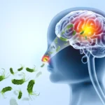 Illusztráció/Fotó: Shutterstock
