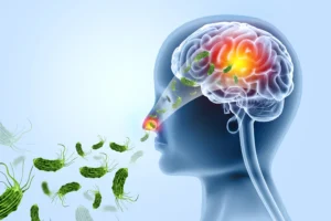 Illusztráció/Fotó: Shutterstock