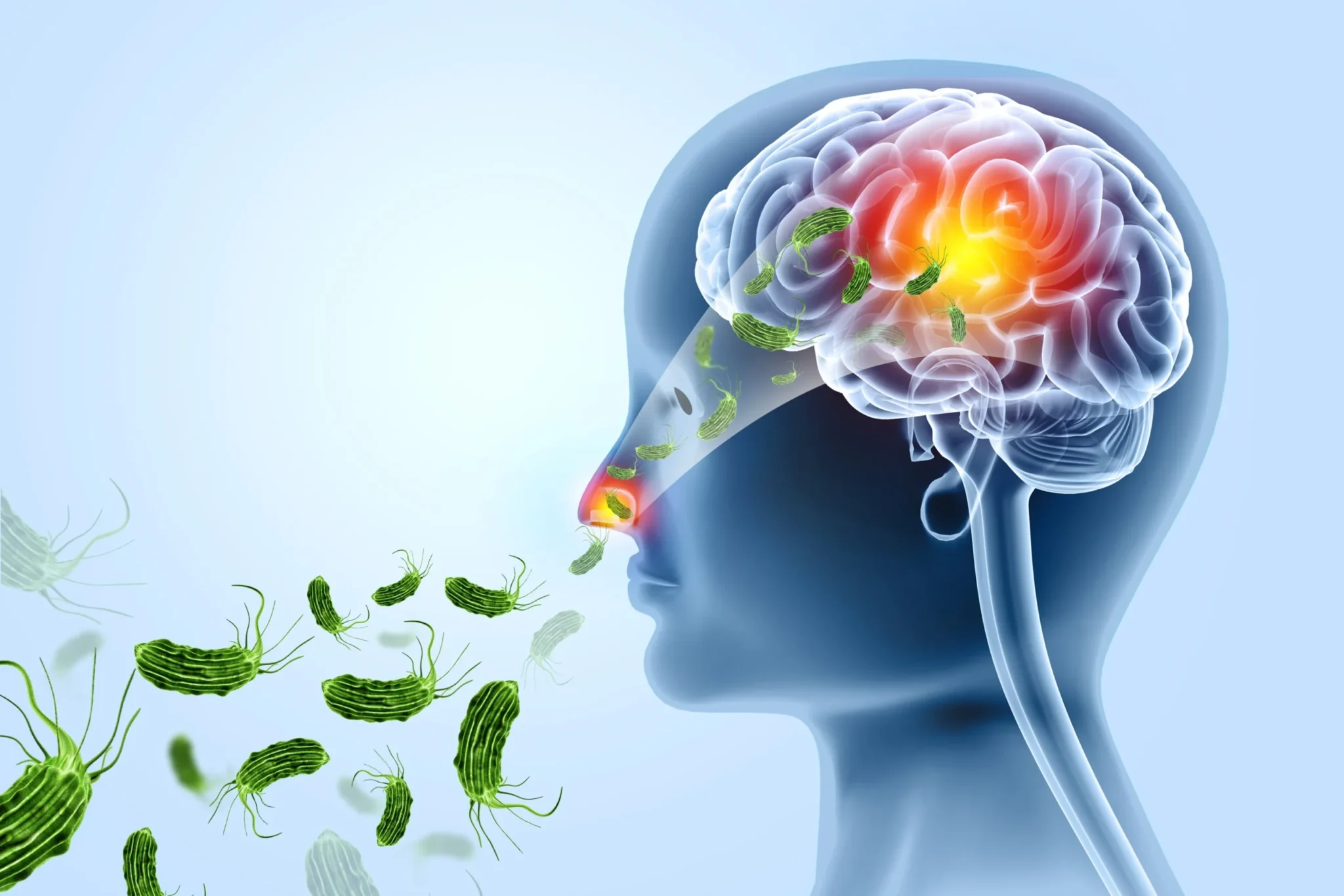 Illusztráció/Fotó: Shutterstock