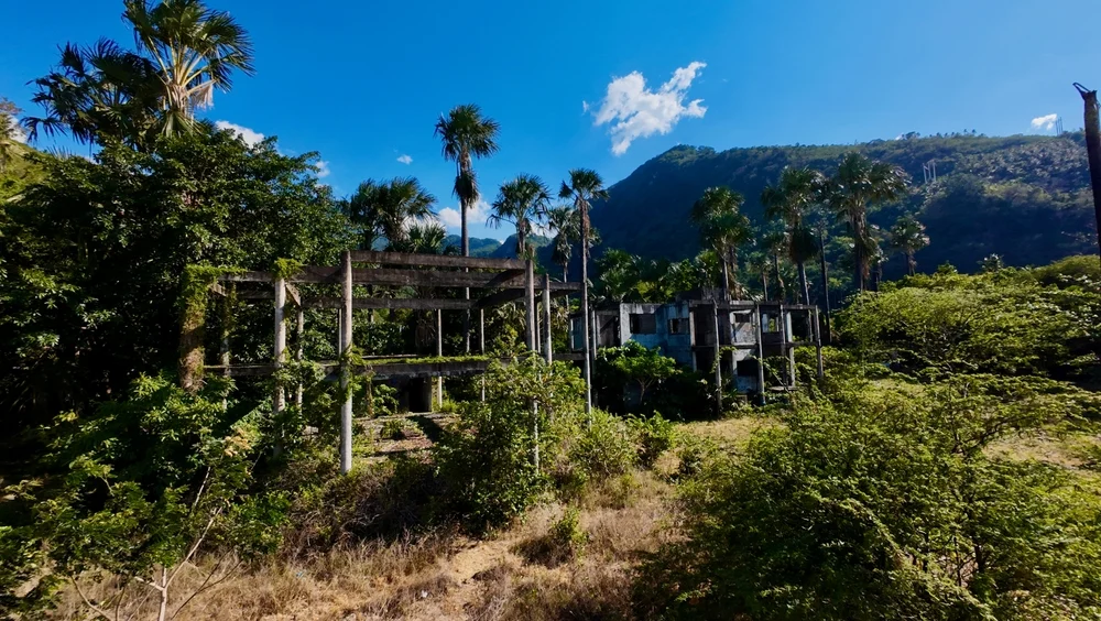 Illusztráció / Fotó: Shutterstock