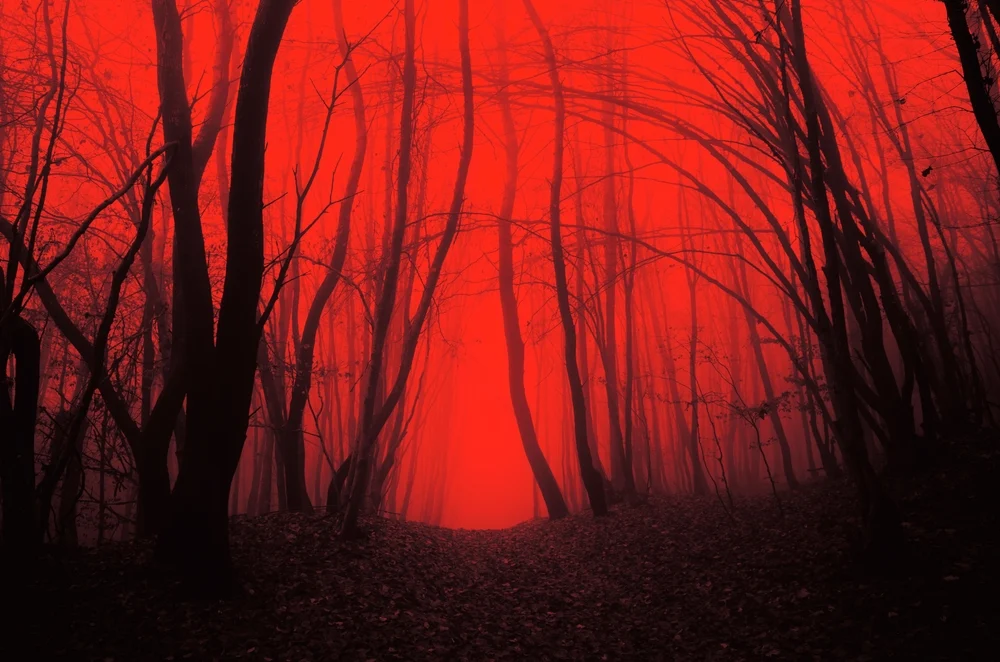 Illusztráció / Fotó: Shutterstock