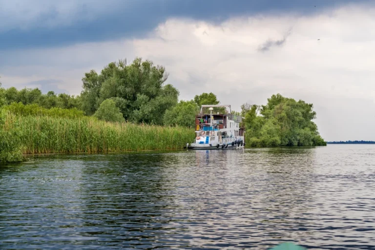 Illusztráció / Fotó: Shutterstock