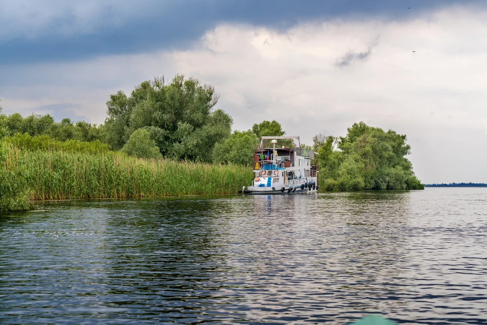 Illusztráció / Fotó: Shutterstock