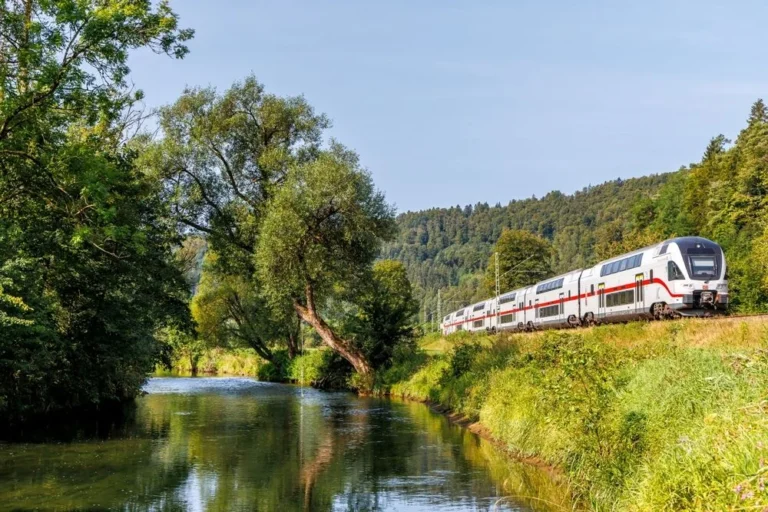 Illusztráció / Fotó: Shutterstock