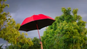 Illusztráció / Fotó: Shutterstock