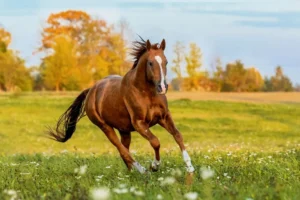 Fotó: Shutterstock