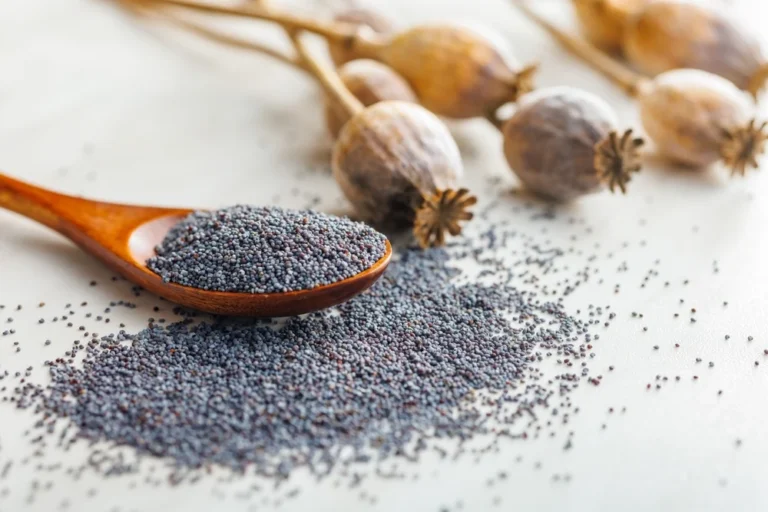 Illusztráció / Fotó: Shutterstock