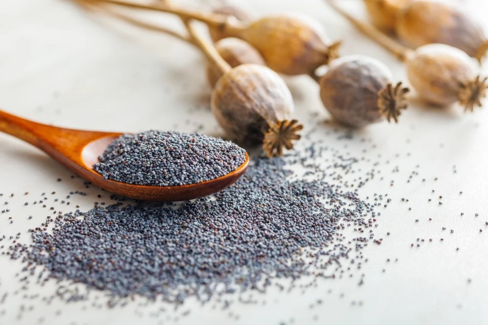 Illusztráció / Fotó: Shutterstock