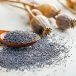 Illusztráció / Fotó: Shutterstock