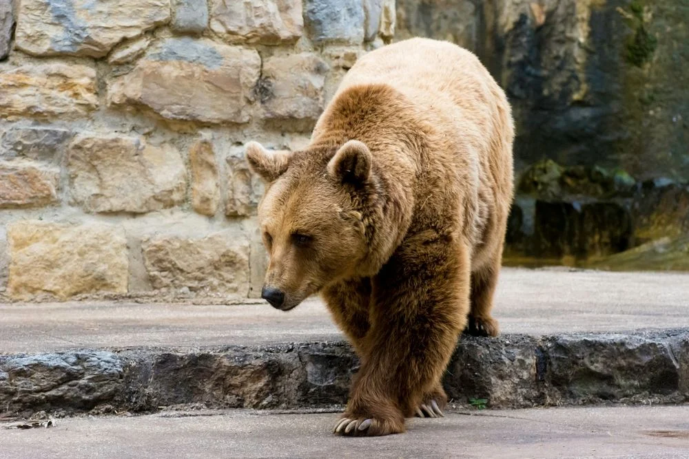 Illusztráció / Fotó: Shutterstock