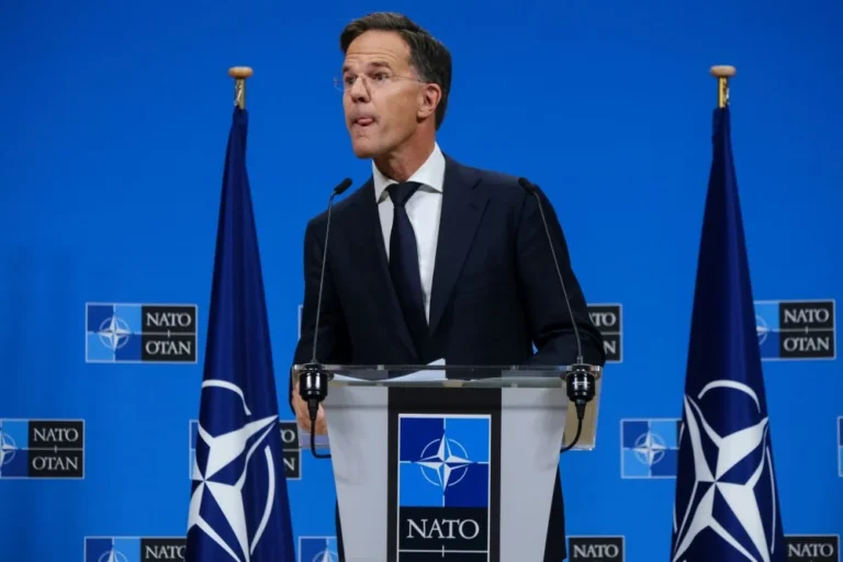 Rutte / Fotó: Shutterstock