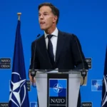 Rutte / Fotó: Shutterstock