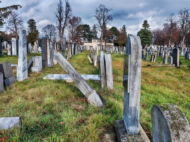 Illusztráció / Fotó: Shutterstock