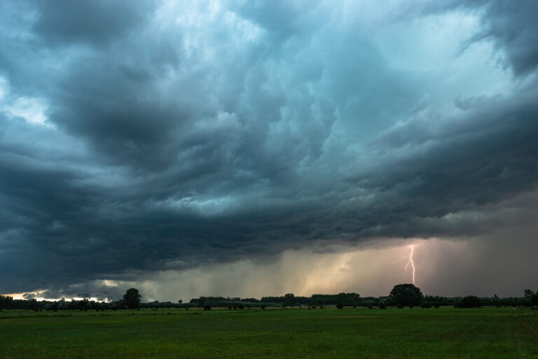 Illusztráció / Fotó: Shutterstock