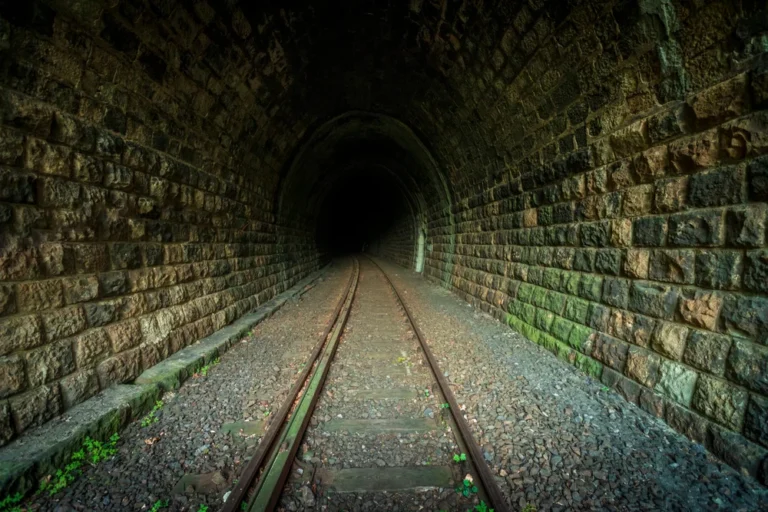 Illusztráció / Fotó: Shutterstock