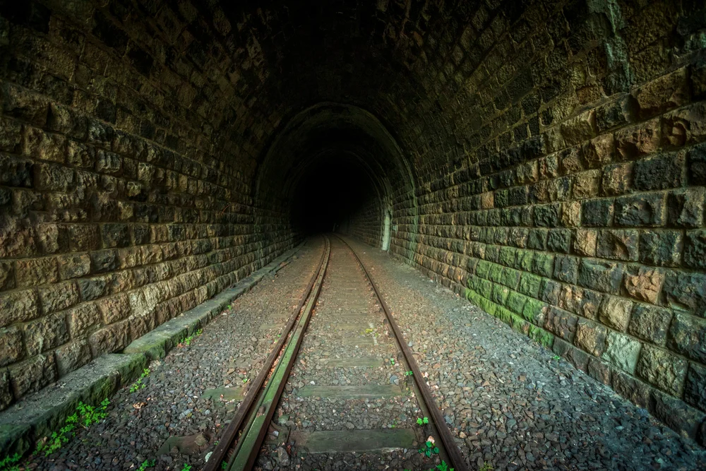 Illusztráció / Fotó: Shutterstock