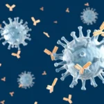 Illusztráció / Fotó: Shutterstock