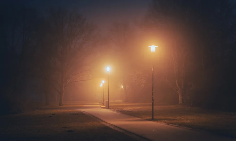 Illusztráció / Fotó: Shutterstock