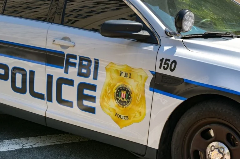 Illusztráció / Fotó: Shutterstock