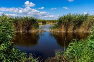 Fertő-tó / Fotó: Shutterstock