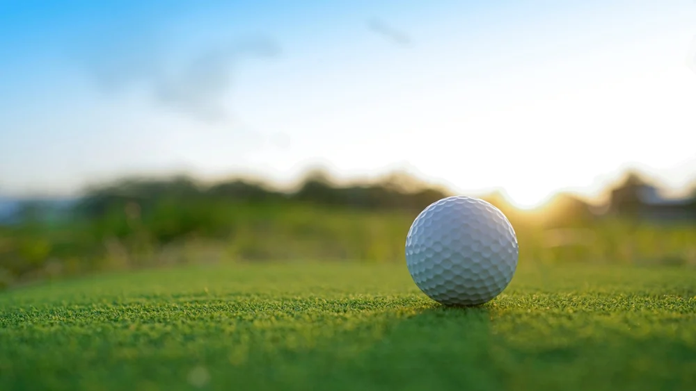 Illusztráció / Fotó: Shutterstock