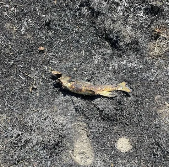 Fotó: Ashcroft tűzoltóság