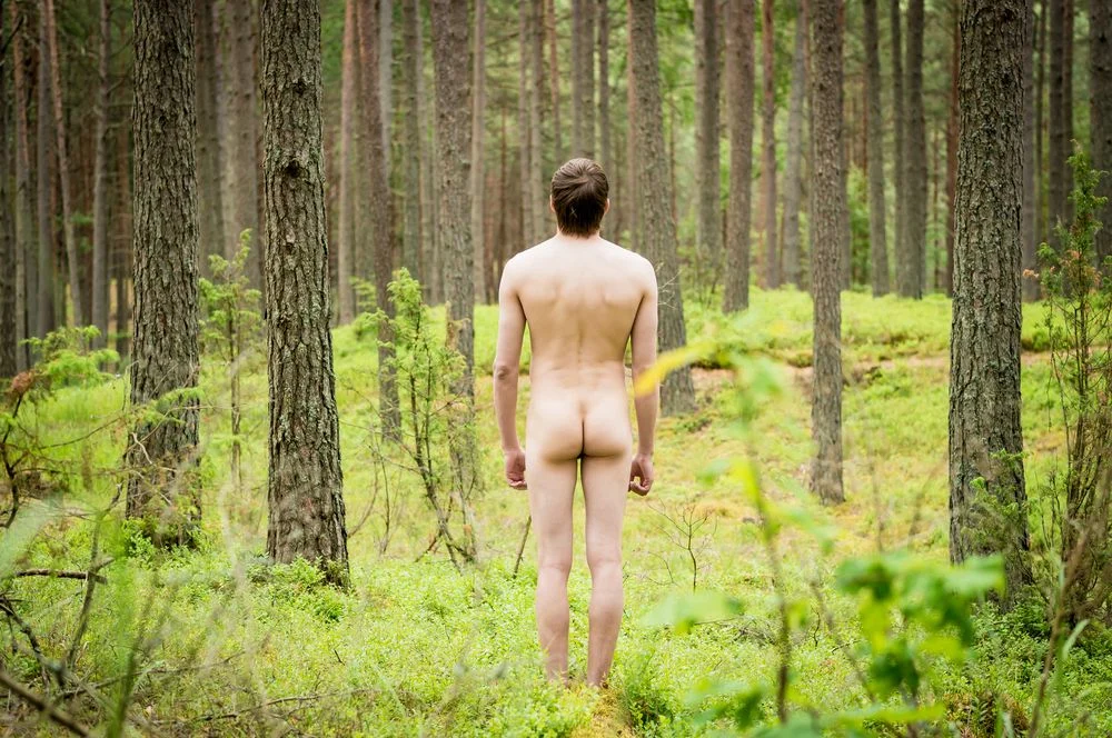 Illusztráció / Fotó: Shutterstock