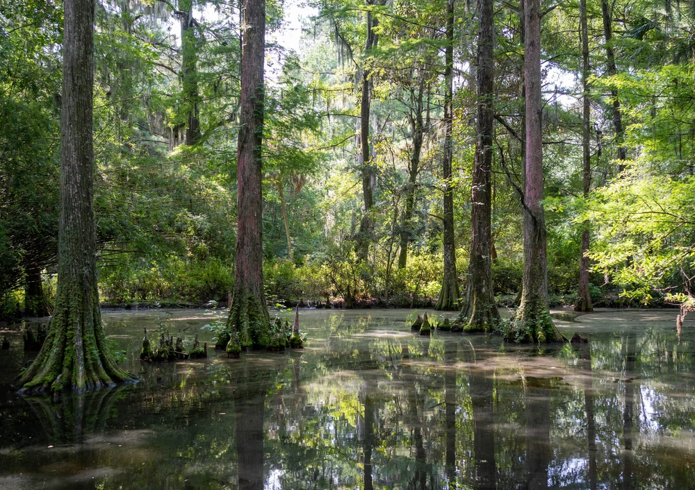 Illusztráció / Fotó: Shutterstock