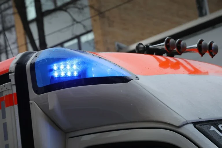 Illusztráció / Fotó: Shutterstock