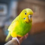 Illusztráció / Fotó: Shutterstock