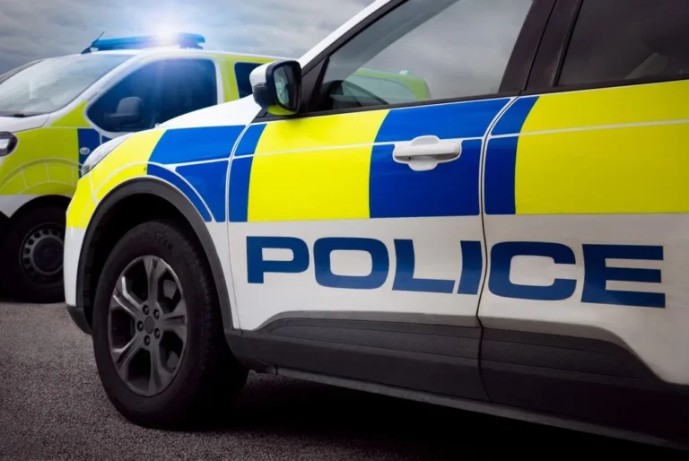 Illusztráció / Fotó: Shutterstock