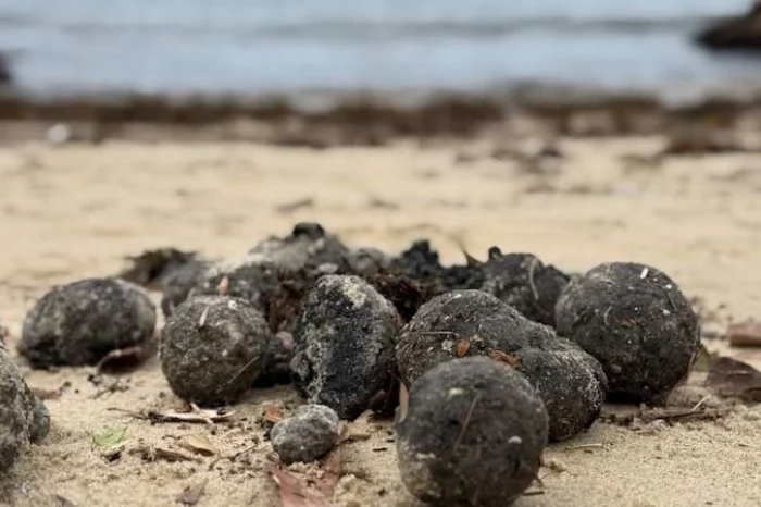 Rejtélyes gömbök / Fotó: X-Blue Community