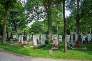 Illusztráció /Fotó: Shutterstock