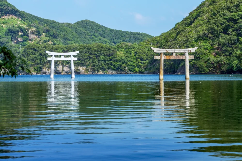 Illusztráció / Fotó: Shutterstock