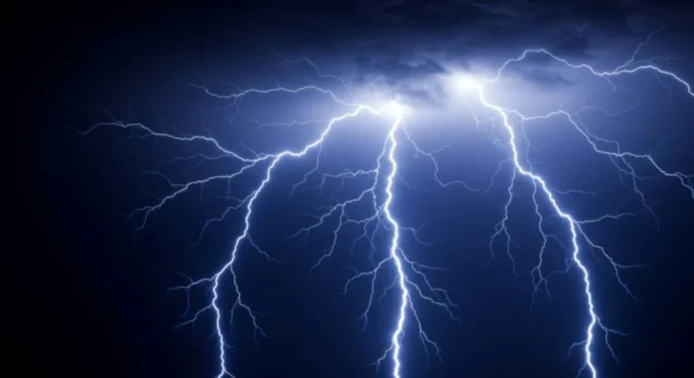 Illusztráció / Fotó: Shutterstock