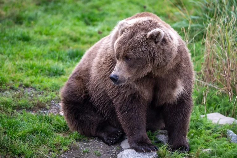 Illusztráció / Fotó: Shutterstock