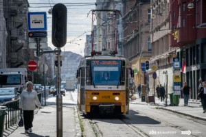 Népszínház utca / Fotó: BKK