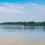 Illusztráció / Fotó: Shutterstock
