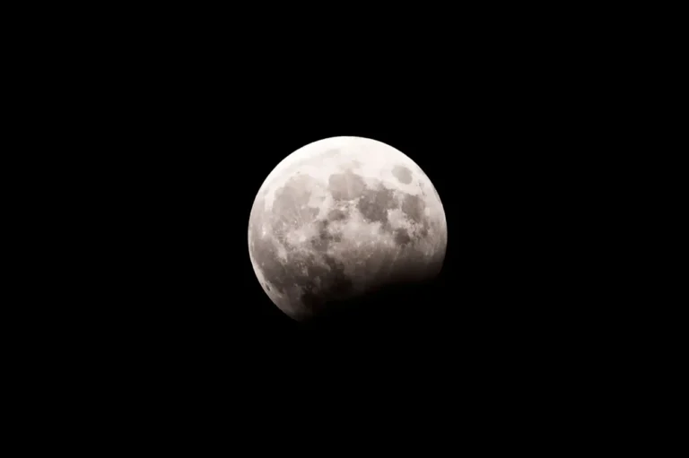 Illusztráció / Fotó: Shutterstock
