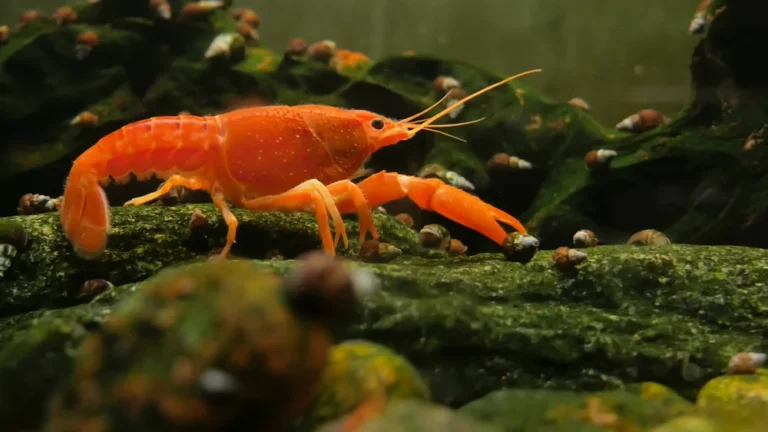 Illusztráció / Fotó: Shutterstock