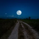 Illusztráció / Fotó: Shutterstock