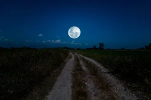 Illusztráció / Fotó: Shutterstock