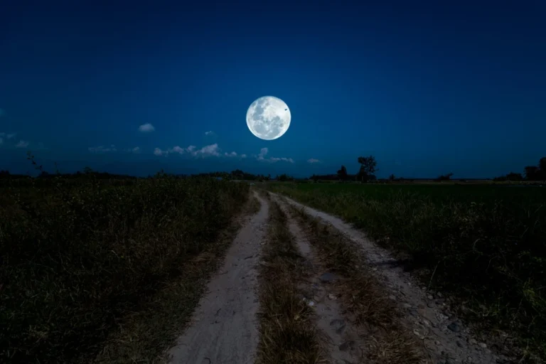 Illusztráció / Fotó: Shutterstock